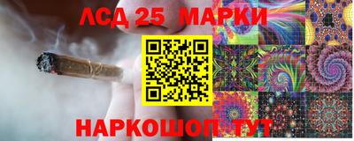прущие грибы Краснокаменск