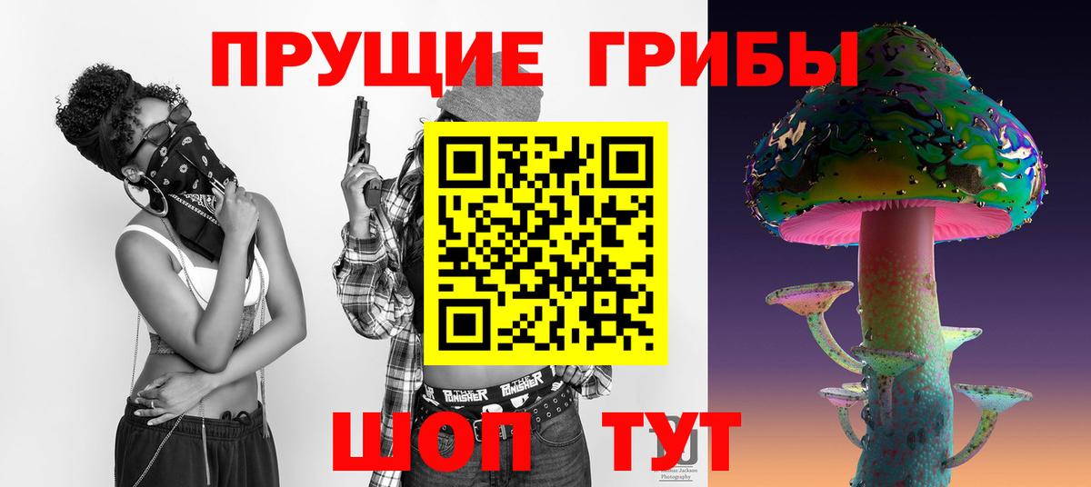 Галлюциногенные грибы Cubensis  где купить   Каменка  Вход с VPN 